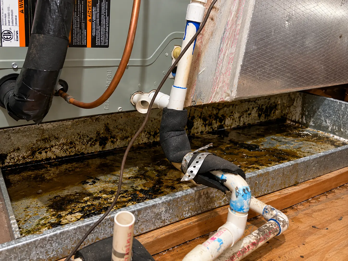 Dirty commercial HVAC condensate drain pan with standing water and buildup.